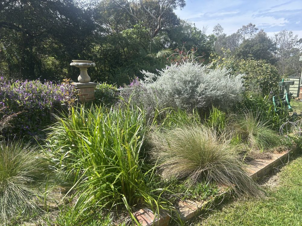 Close-up of a grown-in native garden bed